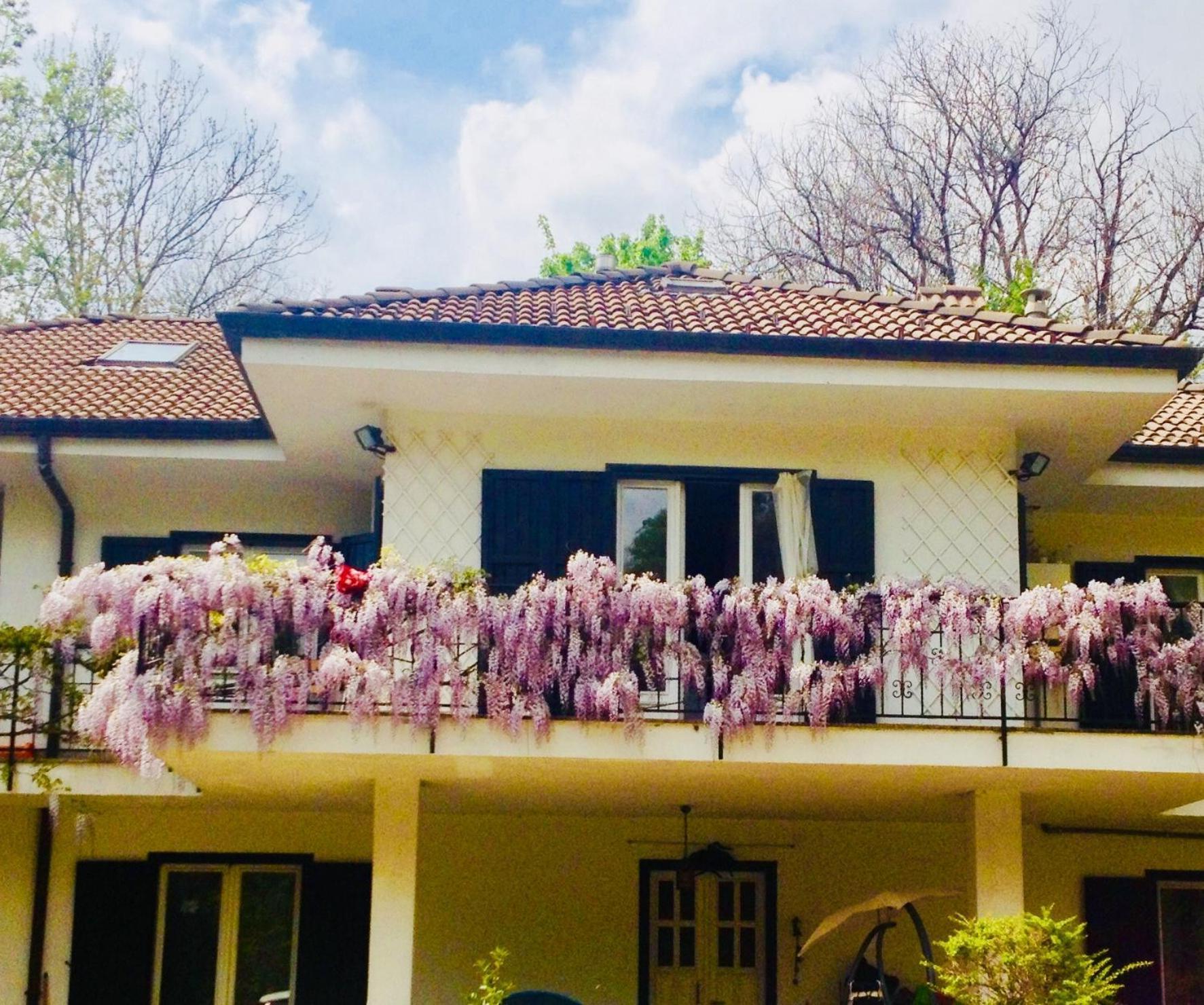 B&B La Libellula Castelnuovo Nigra Exteriör bild