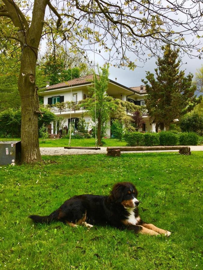 B&B La Libellula Castelnuovo Nigra Exteriör bild