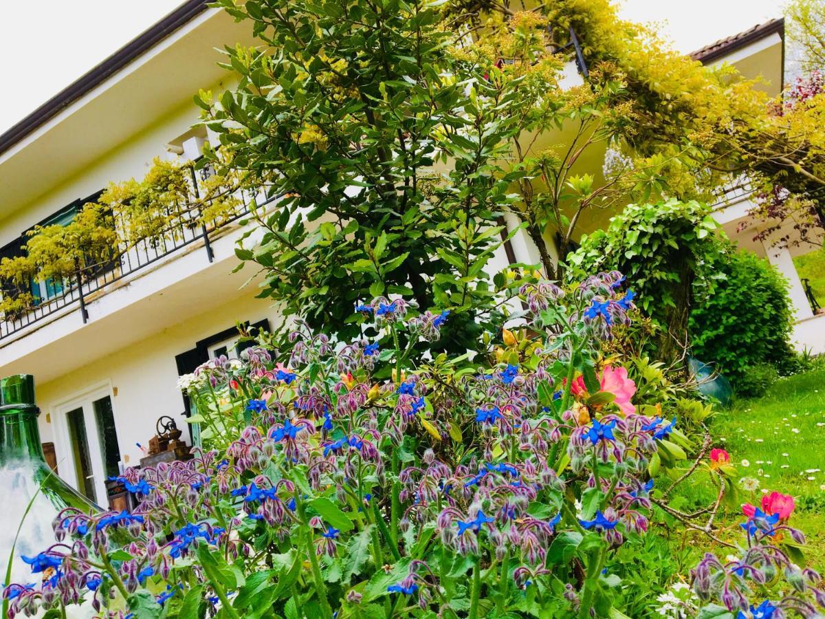 B&B La Libellula Castelnuovo Nigra Exteriör bild